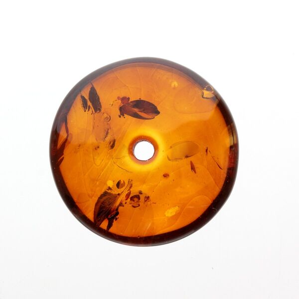 Donut shape Baltic amber pendant medallion