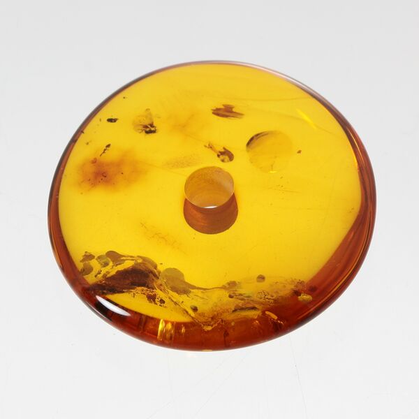 Large Donut shape Baltic amber pendant medallion w insect inclusion