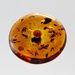 Large Donut shape Baltic amber pendant medallion